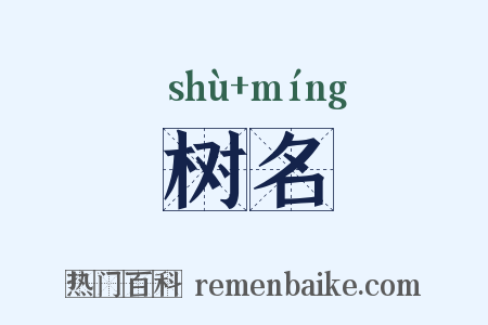 树名是什么意思的图片